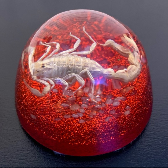 Scorpion Paperweight Acrylic Resin Dome Red Base with Glitter Felt Bottom - Picture 10 of 14